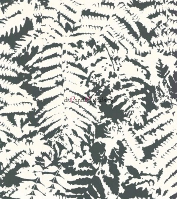 Papel Pintado LITTLE GREENE 20TH CENTURY PAPERS FERN OFF BLACK-1