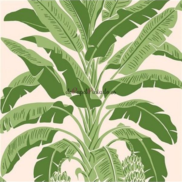 Papel Pintado THIBAUT PALM GROVE T13917-1