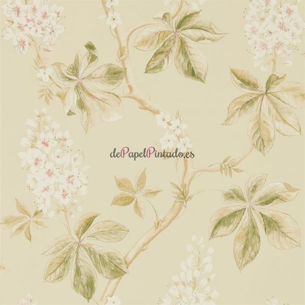 Papel Pintado SANDERSON WOODLAND WALK 215709-1