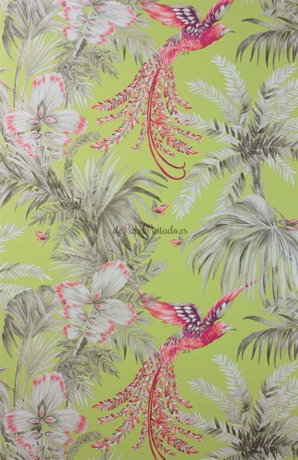 Papel Pintado MATTHEW WILLIAMSON SAMANA W6655-01-1