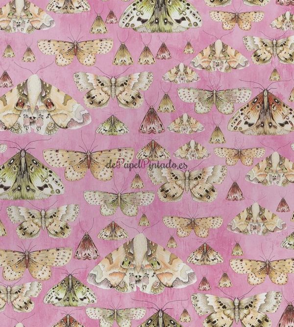 Papel Pintado DESIGNERS GUILD JARDIN DES PLANTES PDG713/03-1