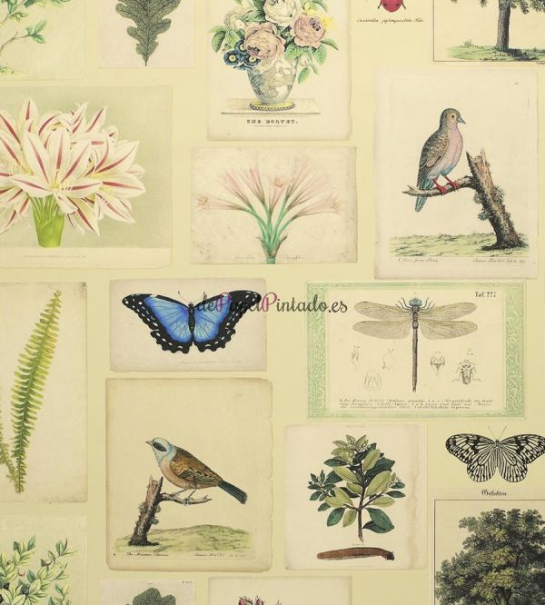 Papel Pintado JOHN DERIAN PICTURE BOOK WALLPAPERS PJD6001/01-1